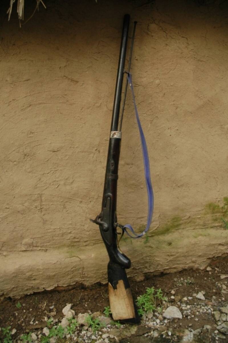 Gun