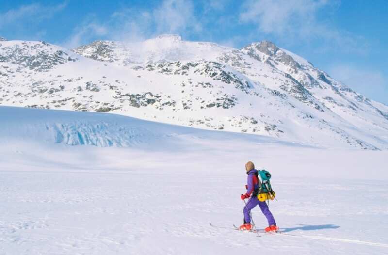 Into The Wild - Alaska
