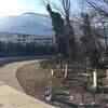 Article image for: <i class="tbold">graveyard</i> hidden in middle of Sochi's Olympic Park