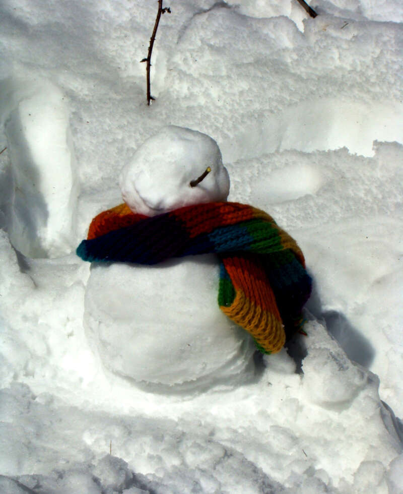 snowfall in manali