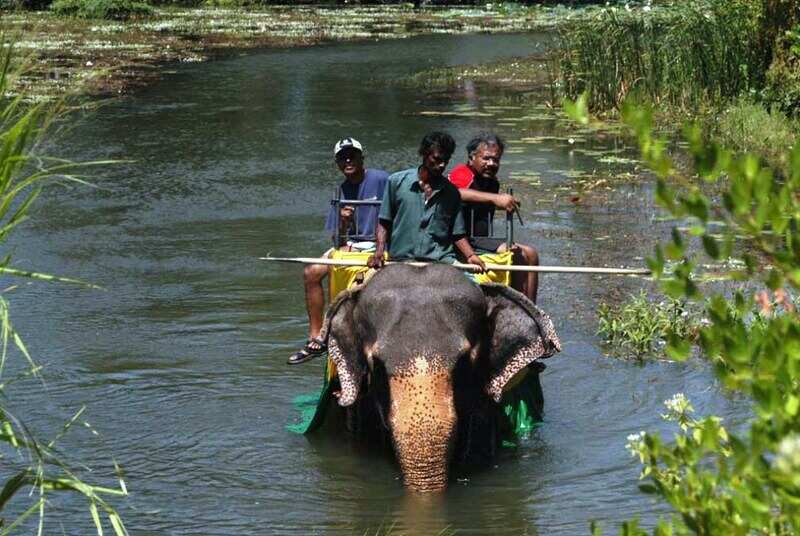 Dambulla_01