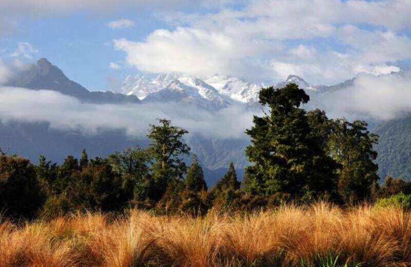 New Zealand, Westland National Park 