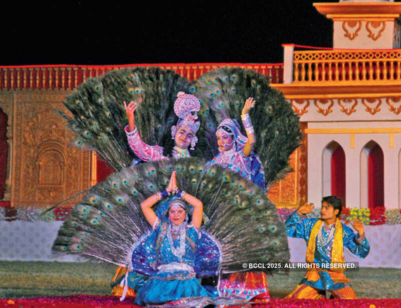 Dancing with Horses @ Rajasthan Polo Club