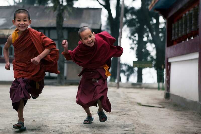 Young monks at Enchey Gompa