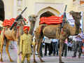 Colorful procession of Gangaur