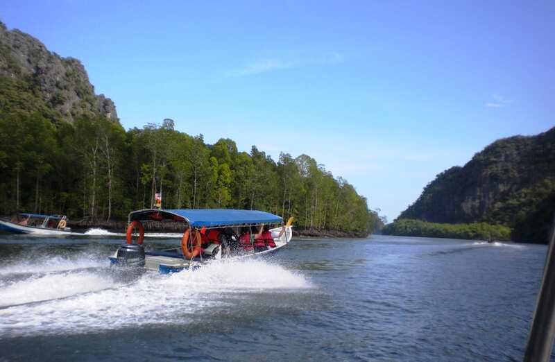 Mangrove boat Tour-MERAJ