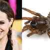 Animals Named After Actors