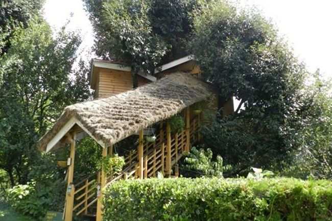 Treehouse Cottages Manali Get Treehouse Cottages Manali Hotel