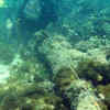 Article image for: Shipwreck off Haiti may be <i class="tbold">santa maria</i>: Explorer
