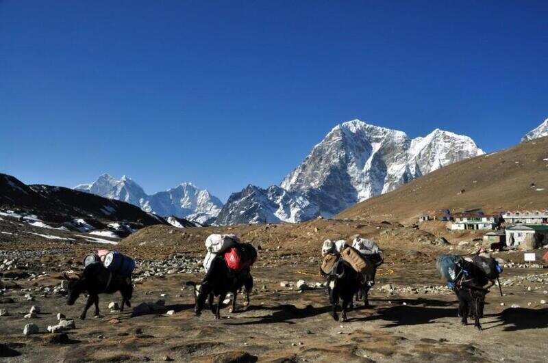 Trail to Gorak Shep