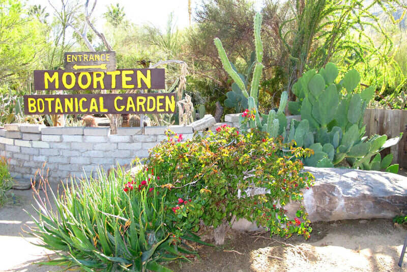 botanical