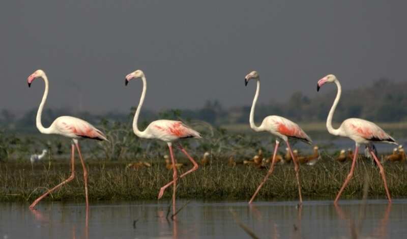 4 offbeat summer getaways in India