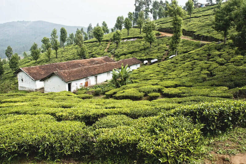 4 offbeat summer getaways in India