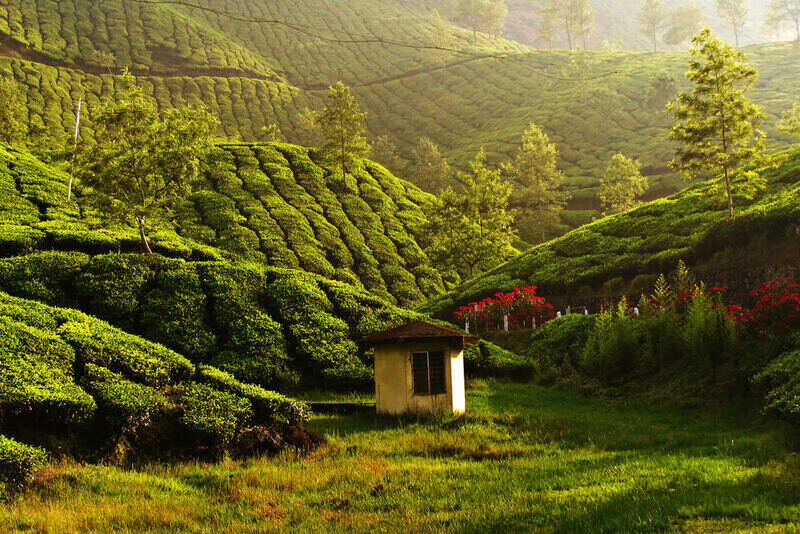 Munnar