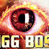 Bigg Boss 8: 5 things to expect from the reality show!