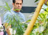 SC issues notice to Salman Khan