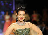 IIJW '14: Surya Golds
