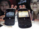 Blackberry Bold