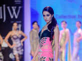 IIJW '14: Gitanjali 