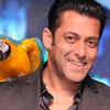 5 reasons why Salman Khan should host 'Bigg Boss 9'