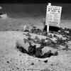 Article image for: Watch: Sea <i class="tbold">turtle hatchlings</i> emerge from nest