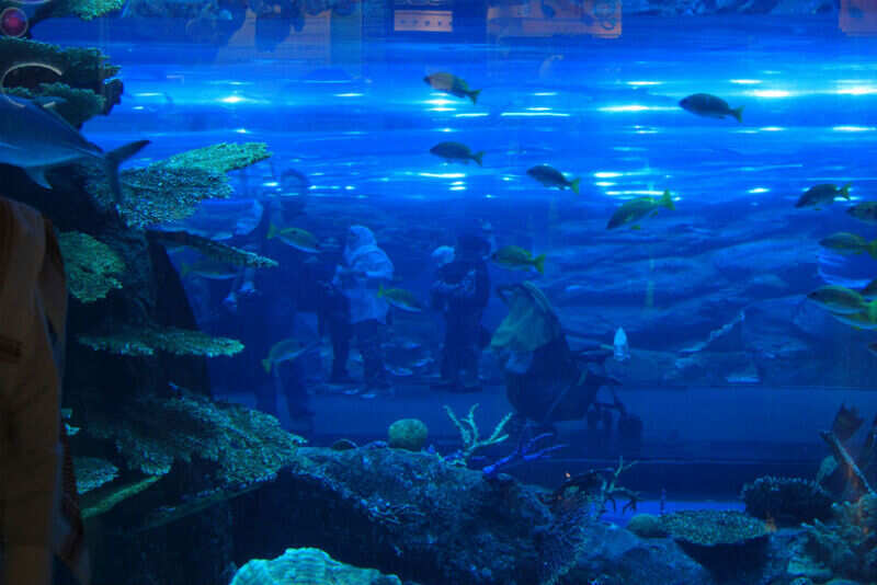 Dubai Aquarium