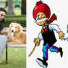 Chacha Chaudhary: Which actors could play characters from the comics
