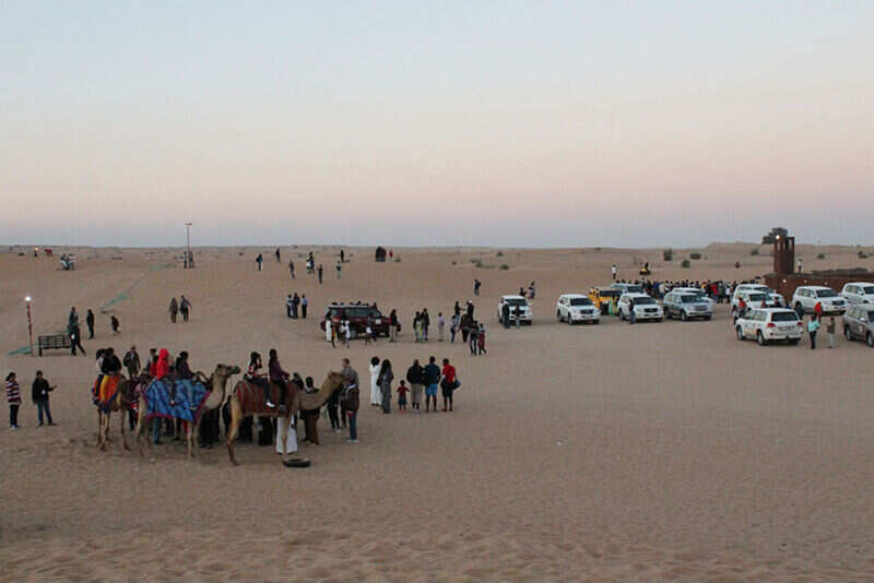 Desert Safari