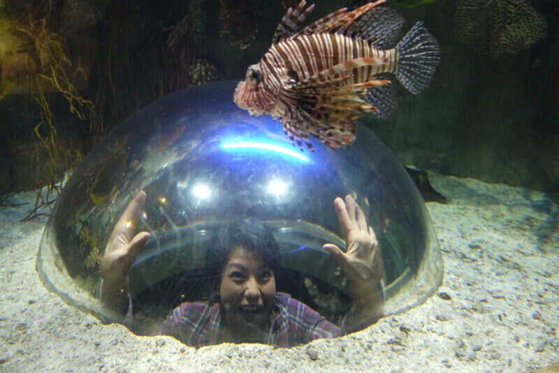 Dubai Zoo