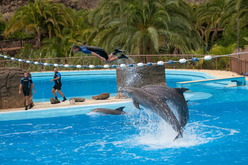 Dubai Dolphinirium