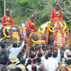 Article image for: New pictures of <i class="tbold">dasara elephant</i>