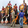 Article image for: Trending photos of <i class="tbold">dasara elephant</i> on TOI today
