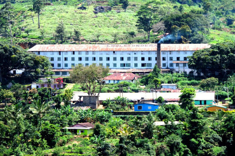 Loolecondera tea factory