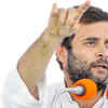 Article image for: Congress needs '<i class="tbold">woman power</i> tsunami': Rahul Gandhi