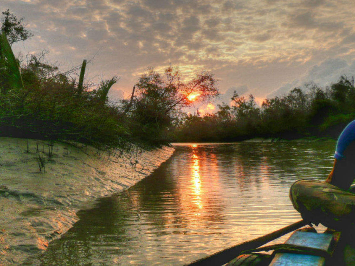 Sundarbans National Park, West Bengal - Times of India Travel
