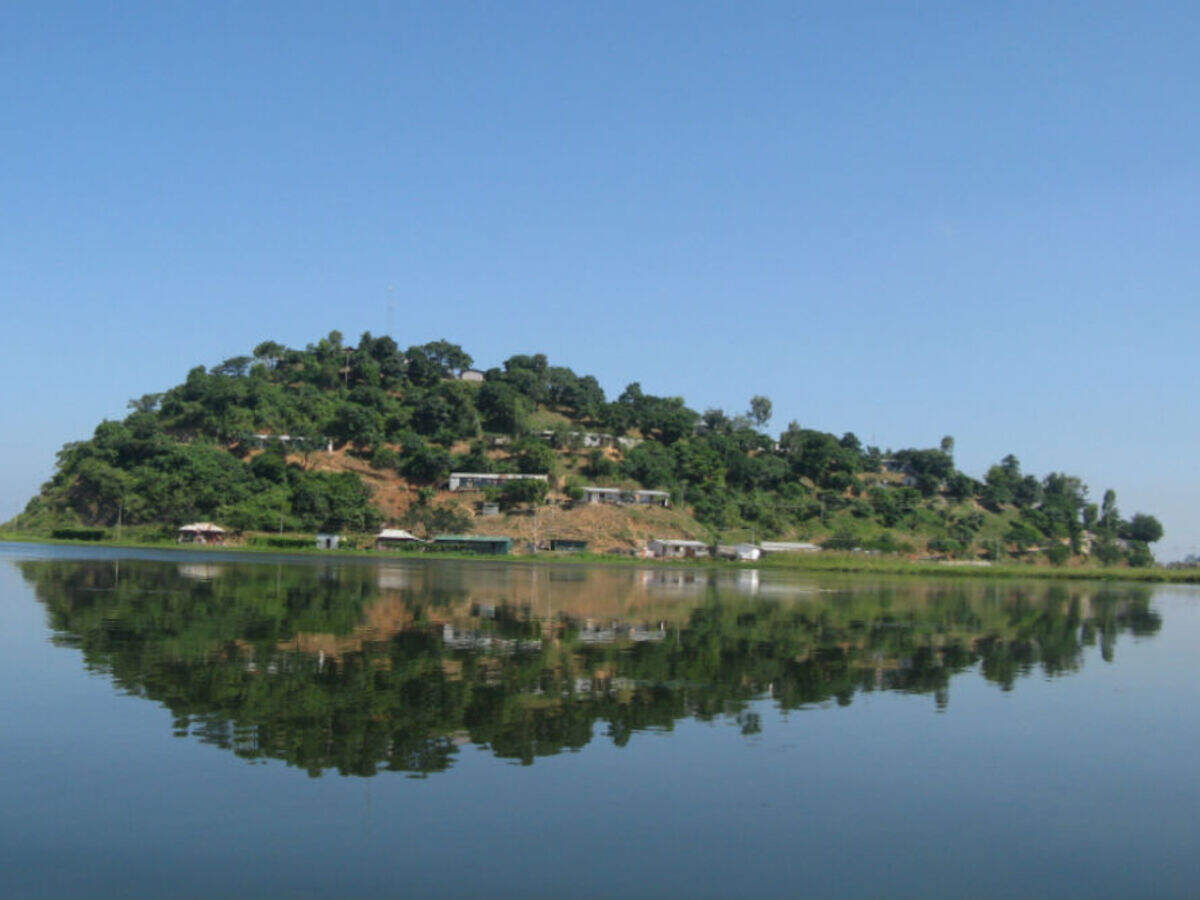 Keibul Lamjao National Park: Discover India's Floating Sanctuary