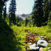 Poland lake 2025 trail manning park