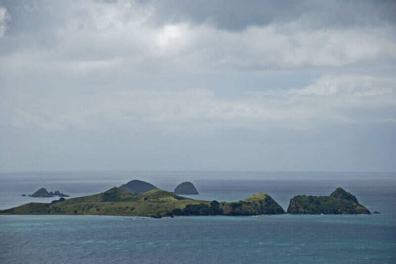 Kauri Cliffs (4)