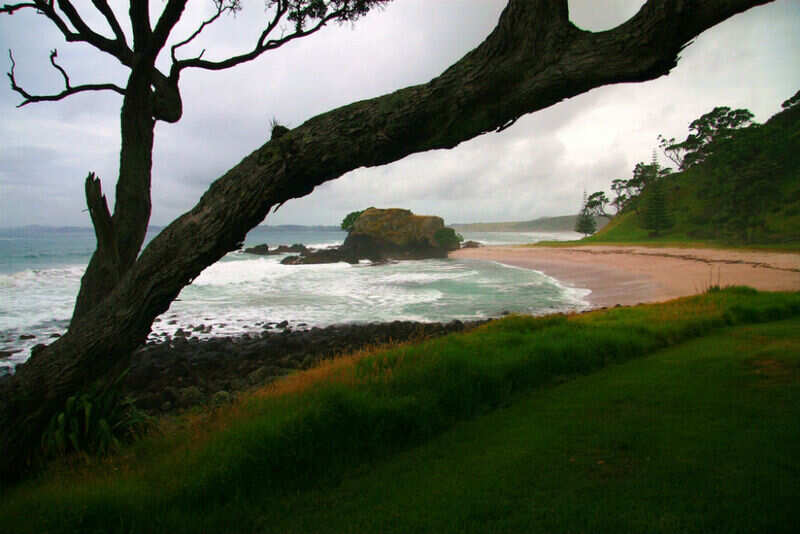 Kauri Cliffs (2)