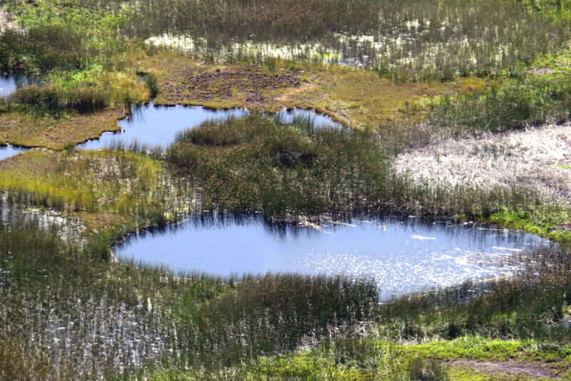 Rapa River (2)