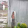 Floods create hell in J&K