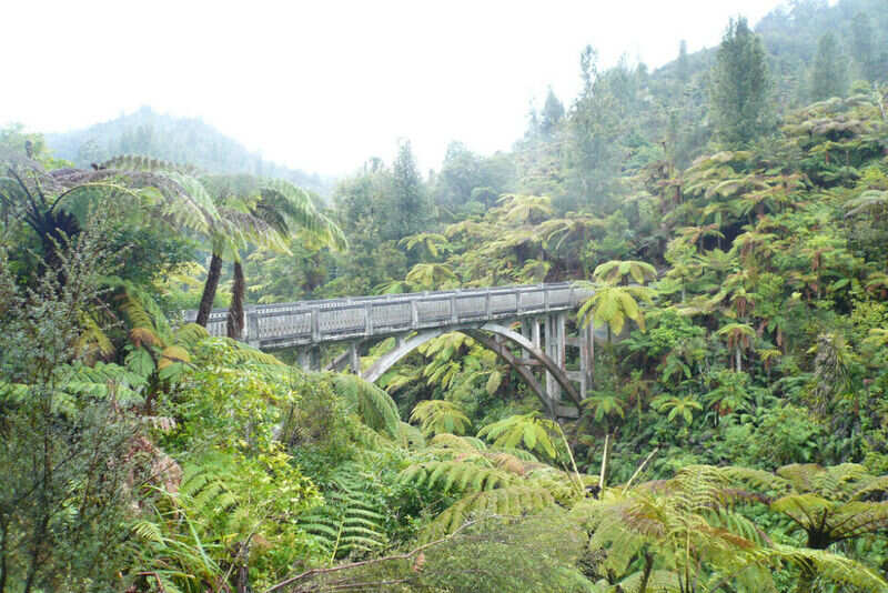 Whanganui 5