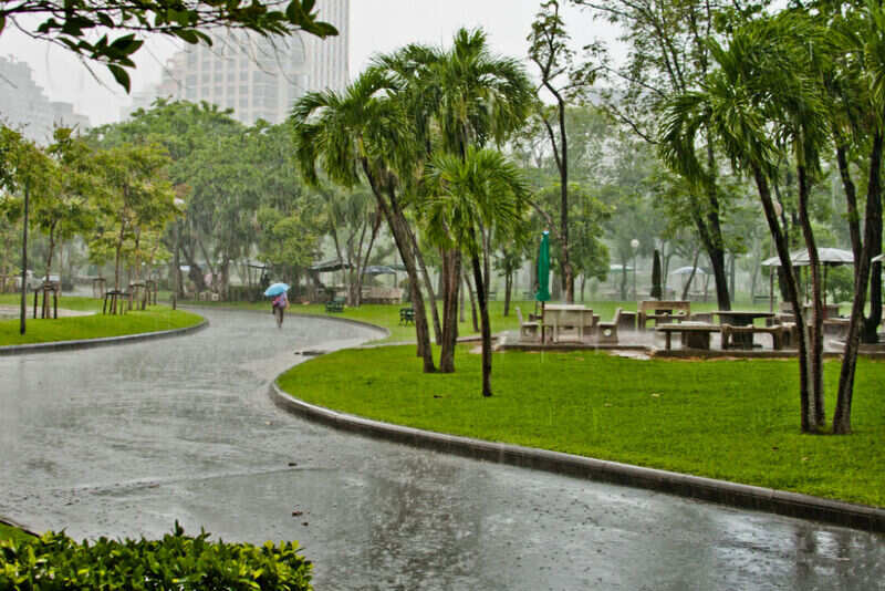 bangkok weather