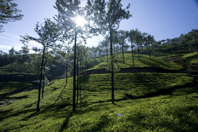 Vagamon Vagamon