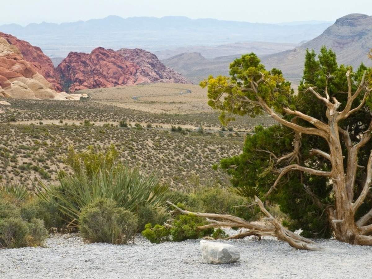 Red Rock Canyon State Park, Las Vegas - Times of India Travel