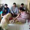 Bhai Phonta celebrations in Tollywood