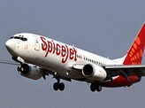 SpiceJet flight hits animal before take-off