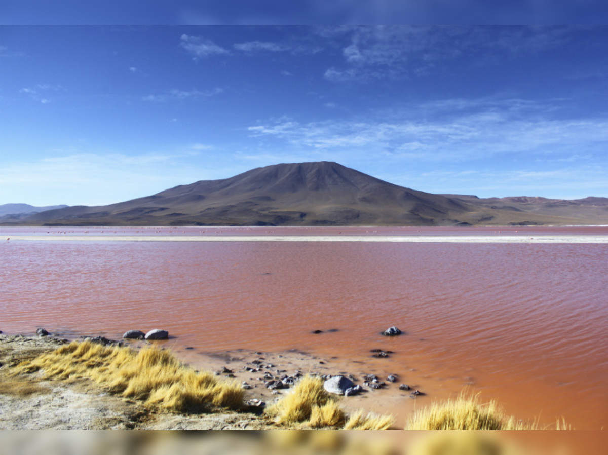 Laguna Colorada: The Red Lagoon of Bolivia, Bolivia - Times of India Travel