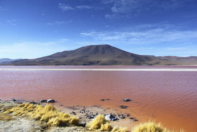 laguna colorada the red lagoon of bolivia bolivia times of india