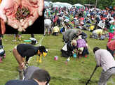 Crazy sporting events